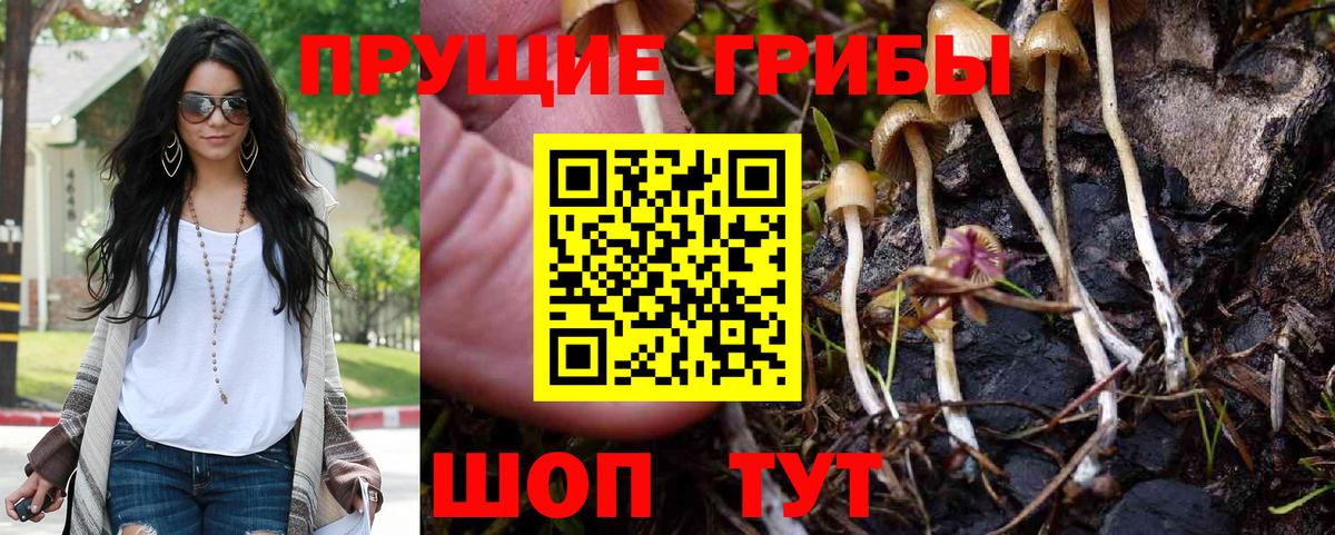 Прохладный  Псилоцибиновые грибы Magic Shrooms  Галлюциногенные грибы Cubensis  Вход с VPN 