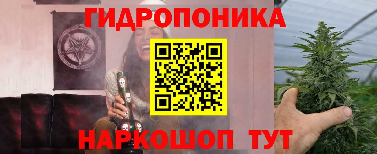 Каннабис SATIVA & INDICA Прохладный